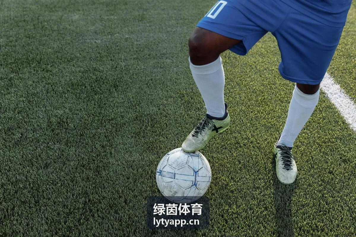 绿茵体育量化运动ROI