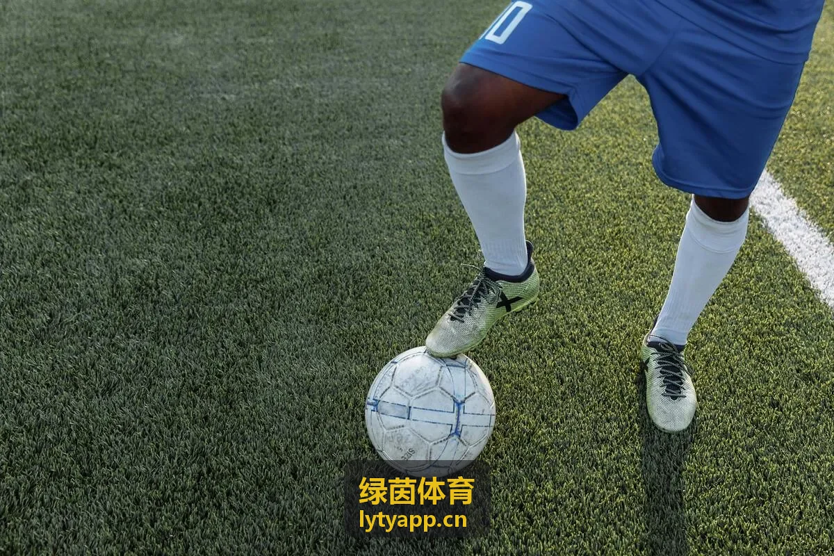 绿茵体育智能运动数据平台界面